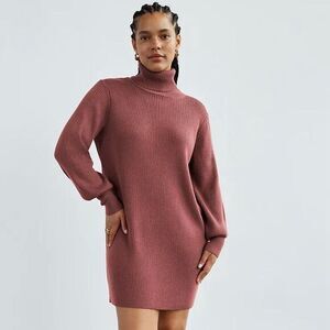 Aritzia Wilfred Rebecca 100% Merino Wool Turtleneck Sweater Dress in Mauve Size